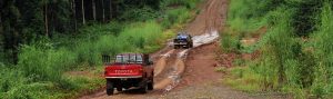 mondulkiri cambodge 5c55264b11 1