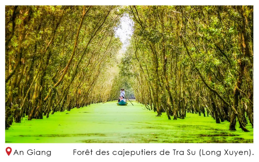 Foret des cajeputiers de Tra Su Long Xuyen