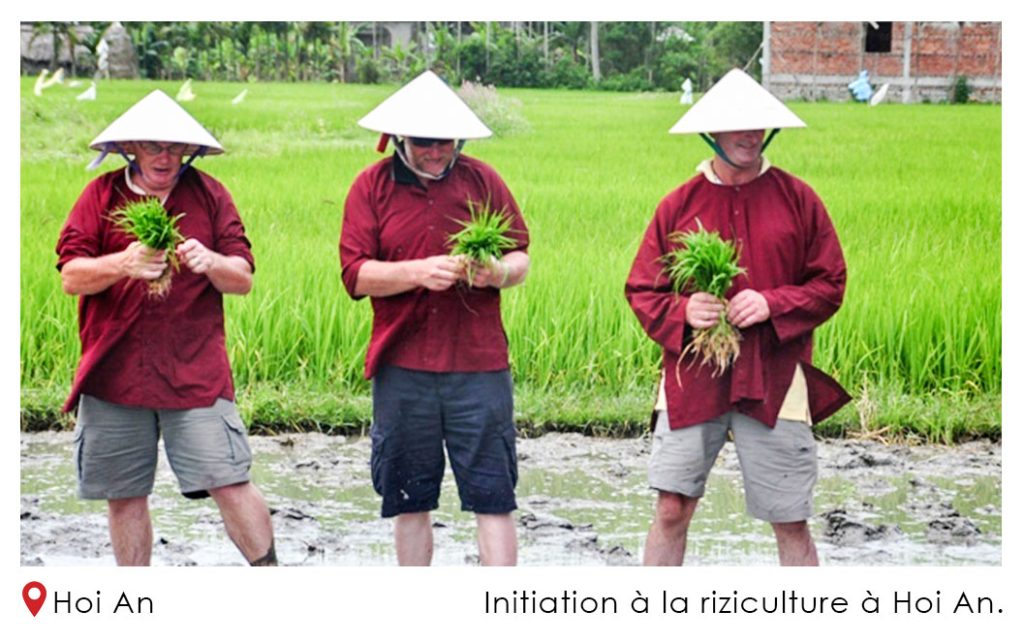 Initiation a la riziculture a Hoi An