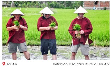 Initiation a la riziculture a Hoi An