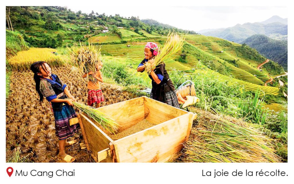 La Joie De La Recolte