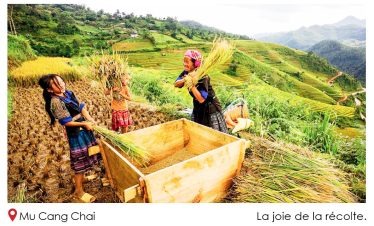 La Joie De La Recolte