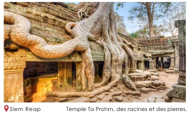siem reap Ta Prohm