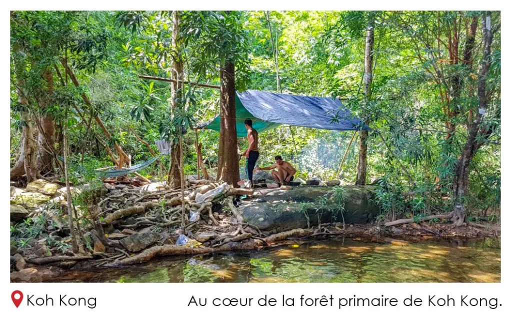 Au cœur de la forêt primaire de Koh Kong