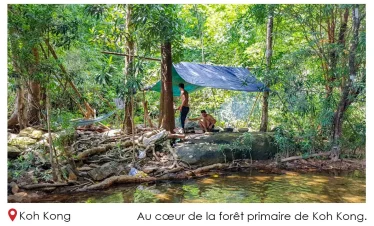 Au cœur de la forêt primaire de Koh Kong