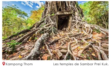 Le temple de Sambor Prei Kuk1