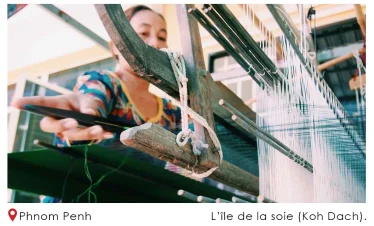 Lile de la soie Koh Dach p