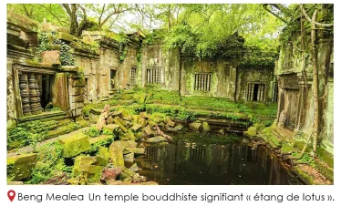beng mealea1