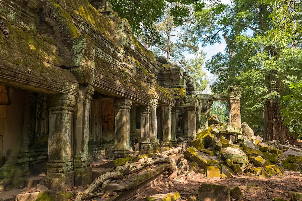 ta prohm 3