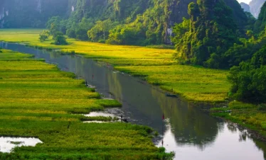 tam coc