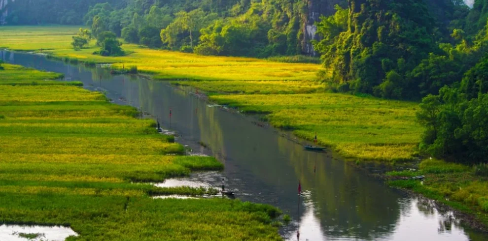 tam coc