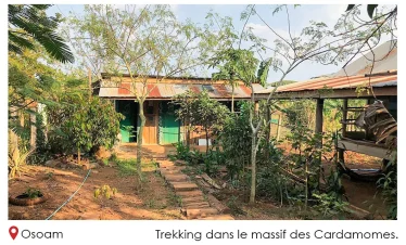 trek dans le massif des Cardamomes osoam