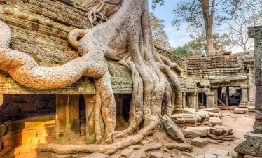 siem reap Ta Prohm