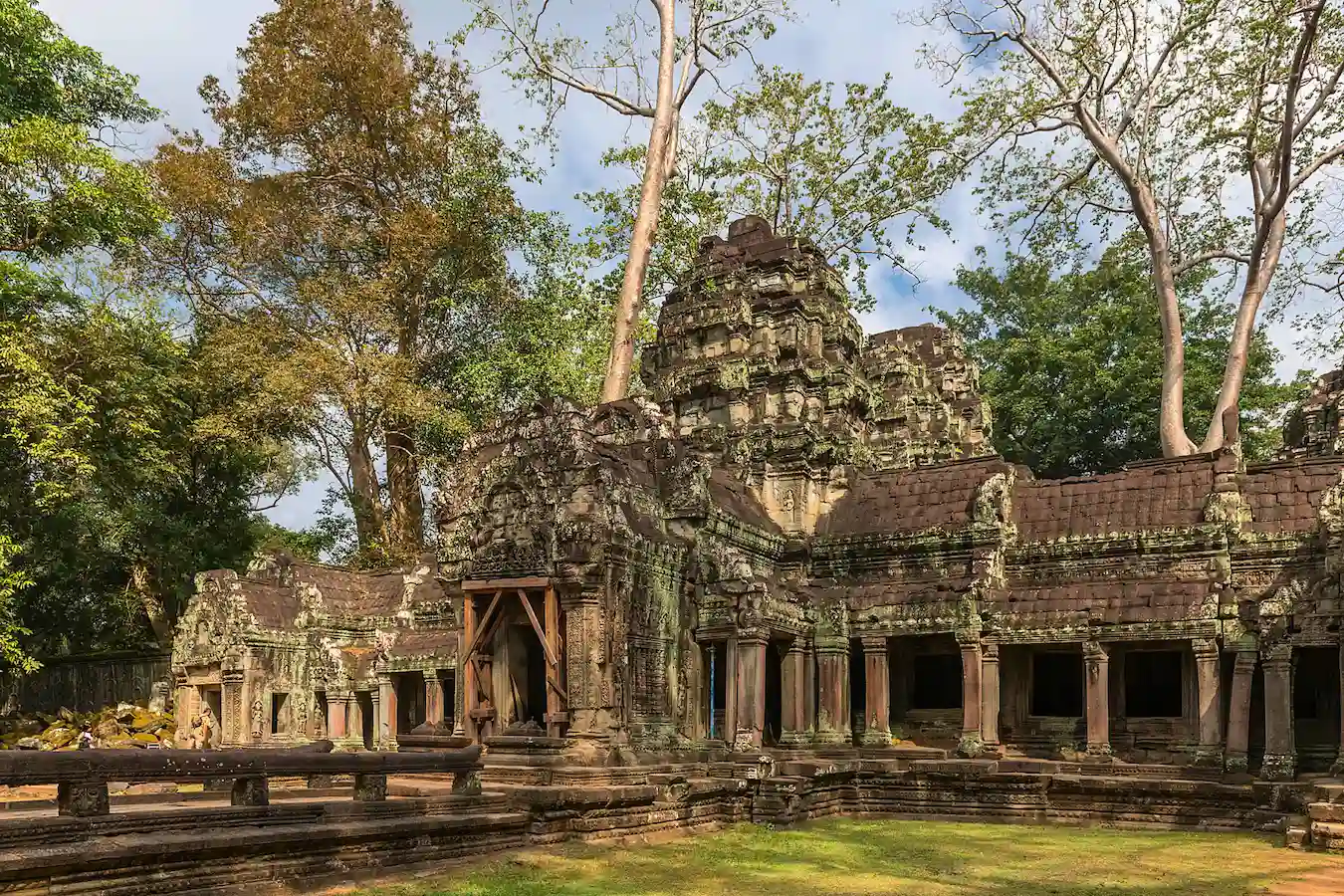 ta prohm 6